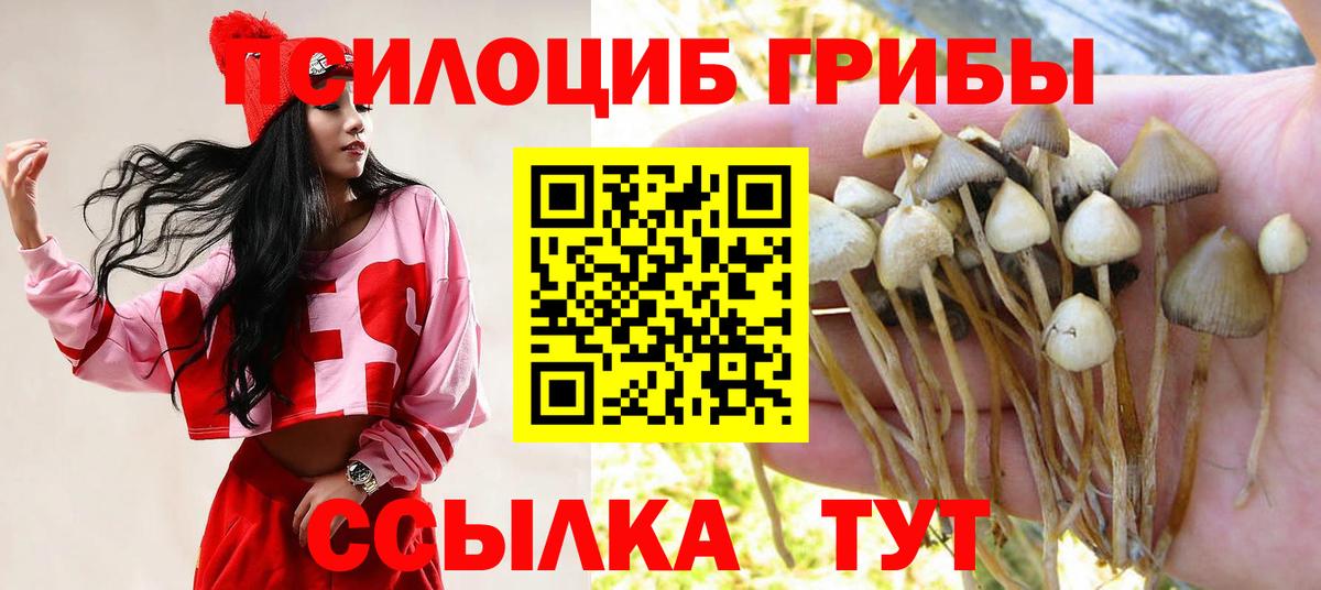 Галлюциногенные грибы мицелий  где продают наркотики  Фролово  Вход с VPN 